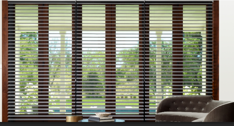 New ClearView fabric of Hunter Douglas Silhouettes