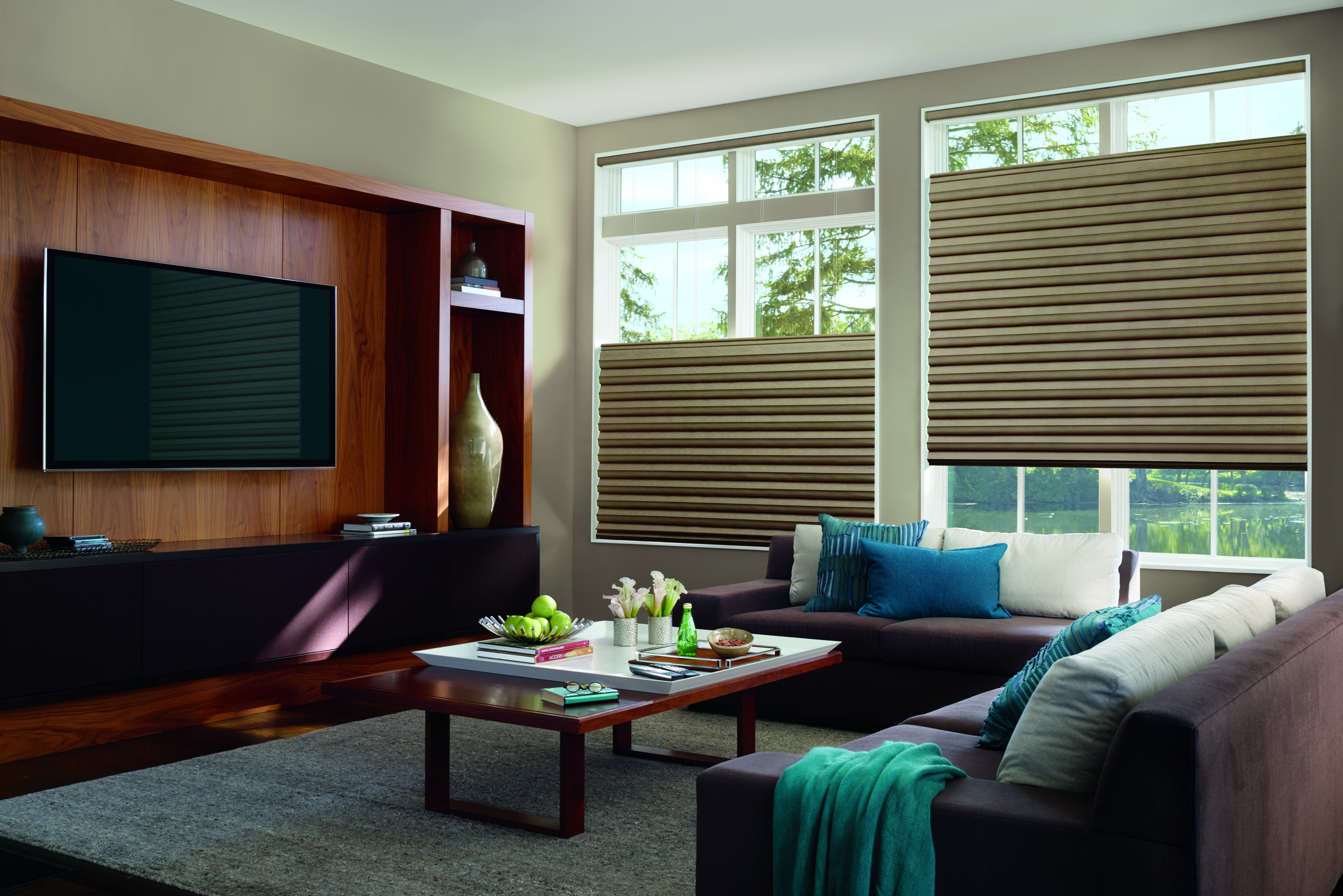 Solera Soft Shades with PowerView motorization in living room